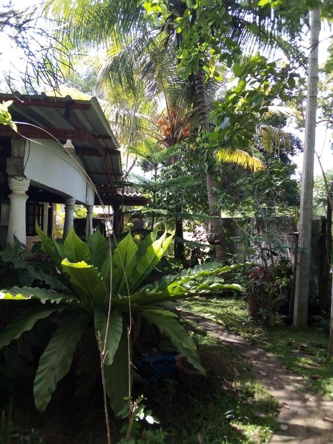 Bandula Home Stay Sigiriya Exterior foto